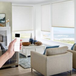 motorization-crop